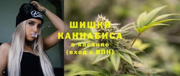 соль ск Бородино