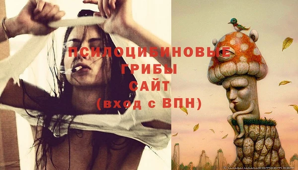 кокаин колумбия Богданович