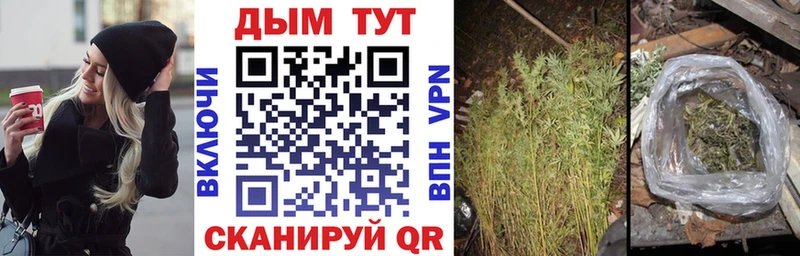 Шишки марихуана OG Kush Межгорье